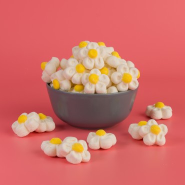 Λευκές μαργαρίτες marshmallow