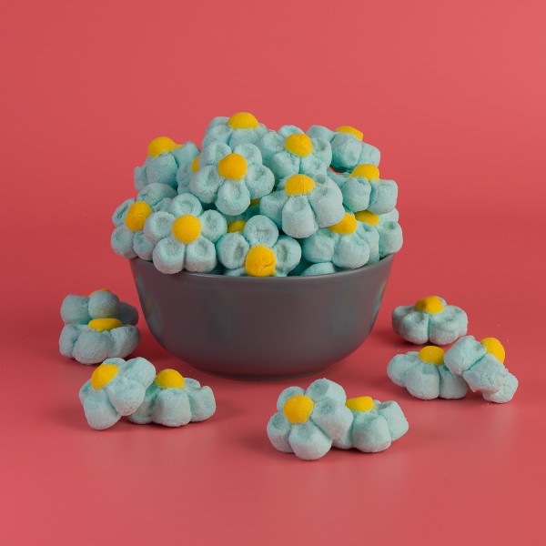 Μαργαρίτες marshmallow γαλάζιες
